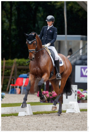 Casablanca (Conen x Fidertanz) under the Australian rider Simone Pearce