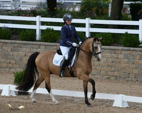 A confident ride by Lauren Chumley of Pittstown, N.J. aboard Melissa Dowling’s German Riding Pony Nikolas earned the pair the Fourth Level Open title. Photo by Jennifer M. Keeler