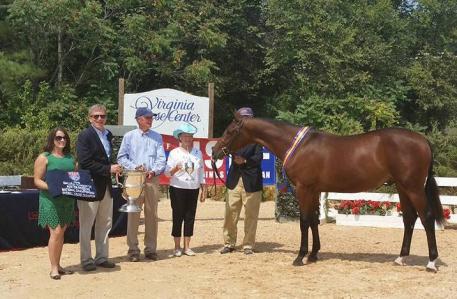 The 2015 Overall Grand Champion, Solaris EMF, owned by Cismont Manor Farm and handled by Kenneth Wheeler.