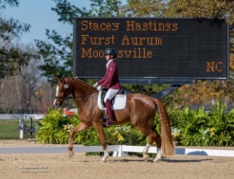 Stacey Hastings and Fürst Aurum 