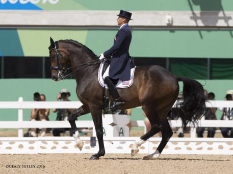 Steffen Peters and Legolas at the Rio Olympics 2016