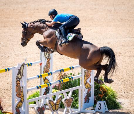 Brazil’s Stephan de Freitas Barcha and Landpeter do Feroleto in the Jumping training session at Deodoro Olympic Park, Rio de Janeiro (BRA) today. (Arnd Bronkhorst/FEI)