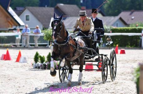 Sterling Graburn and Mannkato (Krisztina Horváth/Hoefnet.com)