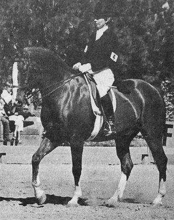 Susan Davidge competing at an early CDS Annual Show at Etcetera Farm in Santa Ynez.