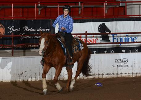 Cataskeeto, owned by Cooper Hicks of NH, with Holly Jacobson shows off his class and experience.