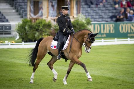 Thibaut Vallette (FRA) and Qing Du Briot ENE HN produce a brilliant 38.7 to lead after the first day of dressage at Badminton, fourth leg of the FEI Classics™. 