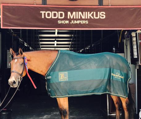Exceptional wins Green Hunter 3’3” at Tryon CSI 2* 