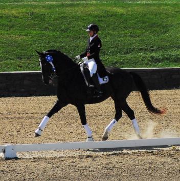 Canadian Belinda Trussell took the CDI Grand Prix Special win with Tattoo.