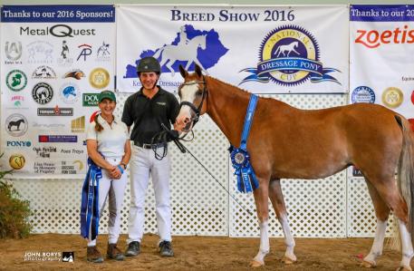 Twinkletoes Tiara, NDPC Mare Championship, Mature Horse Championship, Grand Championship in-hand. 