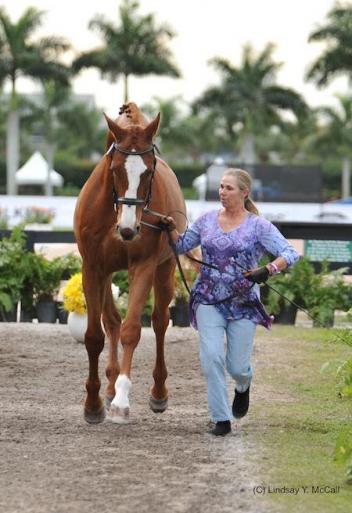 Quaterjack, Pam Hardin (USA)