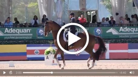 Watch Brittany Fraser and All In's winning grand prix test. (Video: Richard's Equine Video)