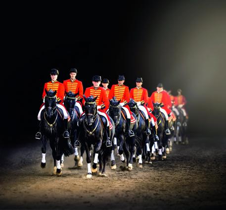 stallion quadrille of the Lower Saxony State Stud Celle, talented sires of the future horse stars present themselves
