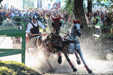 Vilmos Lázár (HUN) is cheered on by home fans as he splashes through the water with his horses Bental 10 and Coner en route to a successful defence of his FEI World Pairs Driving Championships title at the Kinizi Horse Park in Fábiánsebestyén. (FEI/Krisztina Horváth)  