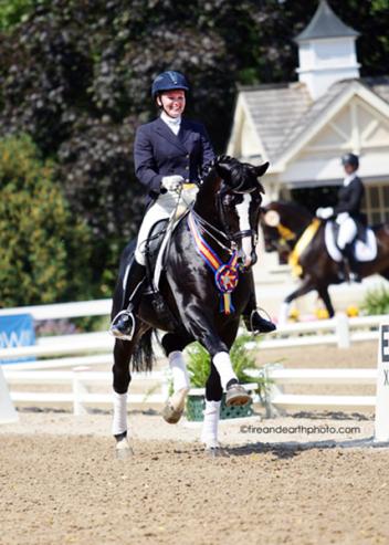 WakeUp,  American Warmblood Registry, Wagnis, RPSI, Stallion Service Auction, 2016 