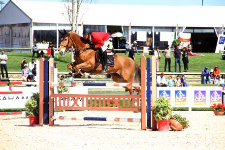 Winner of the FEI World Jumping Challengeª Final 2016 Rabat Morocco was Marek Maitaia (Libia) riding Lansquenet Du Bisp.