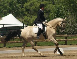 Audrey Steinbach sold Dallas through DressageDaily's HorseMarket!