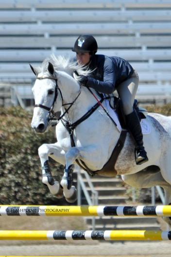 The Atlanta Spring Classics offer a class for everyone in your barn!