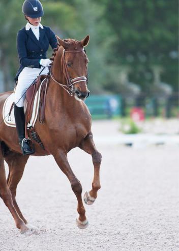 Mary Bahiuk Lauritsen and Wench. Photo by Horse Sport Photography