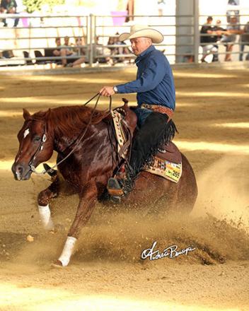 Bernard Fonck of Belgium, riding Sail On Top Whizard (Whizard Jac x Miss N Sis x Miss N Cash), owned by Danny and Mireille Cerato (Photo: Andrea Bonaga)