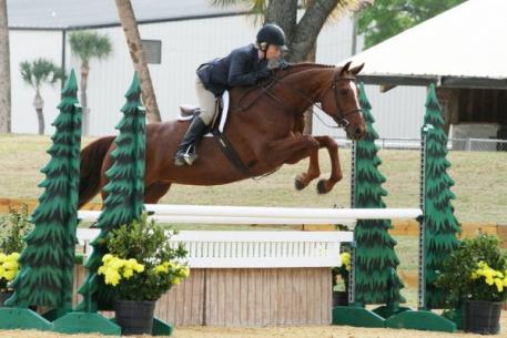 Betty Oare (pictured) will present a horse show judging clinic as part of the first VHCF Equine Education Day.
