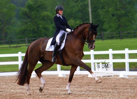 Omega Alpha Ambassador Brittany Fraser and All In will compete in the 2015 Pan American Games for Canada (Photo: Cheryl Denault Photography)