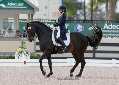 Rosevelt, a 13-year-old Hanoverian stallion owned by Fritz and Claudine Kundrun Photo © SusanJStickle.com