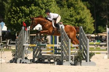 Sundown and Cassidy Niblo earned the TAKE2 Thoroughbred Jumper circuit championship at the 2014 Vermont Summer Festival. Photograph by David Mullinix Photography