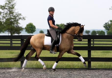 Emily O'neill on Crosiadore Farm's "Manchester City" 2009 German Riding Pony Stallion