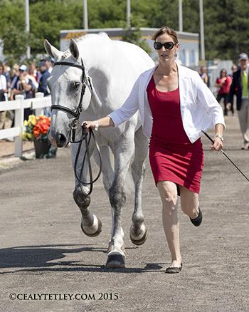 Colleen Loach, 32, of Dunham, QC, presents Qorry Blue d’Argouges at the horse inspection.(Photo © Cealy Tetley)