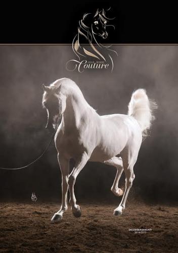 The December/January issue of Arab Horse Couture (Photo: courtesy of Laura J Brodzik)