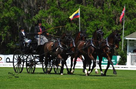 The Intermediate Four-in-Hand dressage phase was won by Craig Grange with a score of 61.63 (Photo: www.PicsofYou.com