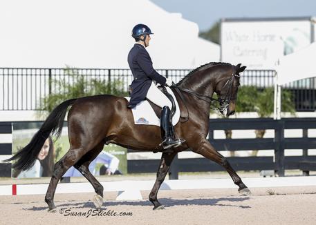Dr. Cesar Parra and Simply Nymphenburg score a 73 percent and a first place at the 2015 Adequan Global Dressage Festival (Photo: SusanJStickle.com) 