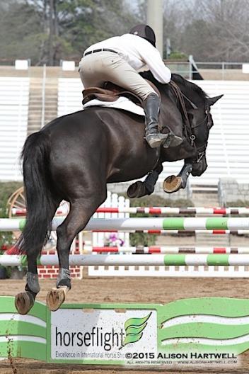 Daniel Geitner of Aiken, South Carolina and Dayna Gant's Chivas