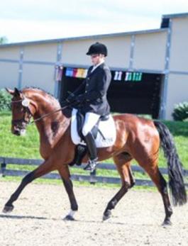 David Collins riding Bojing (unattributed but taken from his website, www.centerlinestables.org)