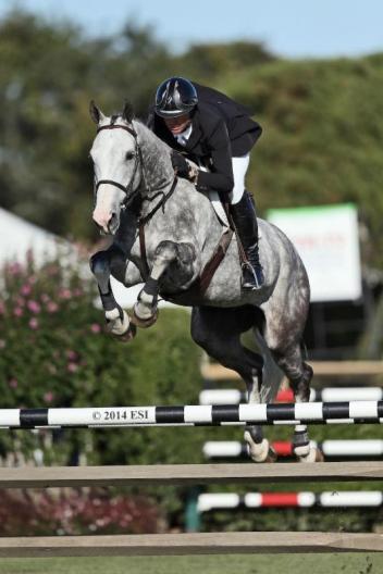 Devin Ryan rode Eddie Blue to win the $20,000 SHF Enterprises YJC 5-Year-old Final at the Hampton Classic.  (ESI Photo)