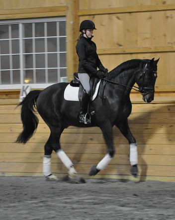 Alexa Derr partners with Versace N, donated to her by Everglades Dressage through Dressage4Kids (Photos courtesy of Alexa Derr)
