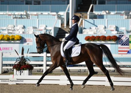 Sir Eastwood (Sir Sinclair x Pom Pon/Pik Solo) Oldenburg owned by The Pullen Family. 2nd place FEI 5-Year-Old test at Dressage at Devon 2014