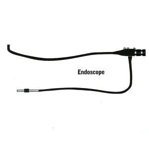 The endoscope allows veterinarians to directly view the inside of a hollow body cavity, such as a horse’s reproductive tract. Illustration provided by Dr. Patrick McCue