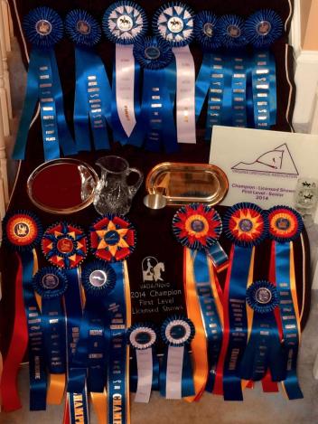 Festival HW's impressive collection of ribbons and trophys!