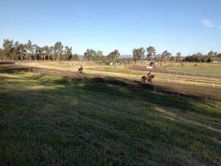 More than 150 racehorses are now in training at the Galway Downs Equestrian Center, home of the Galway Downs International Horse Trials. 