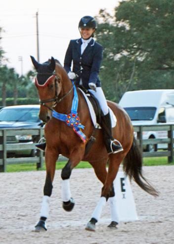 With her own 6-year-old mare, De Nada (Johnson x Kristna) Gwen Poulin qualified for the US Finals winning First Level Open Championships with a 74%
