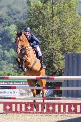 Harley Brown and Apex