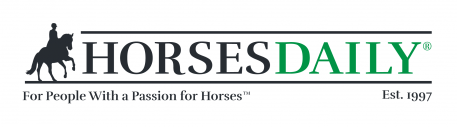 Stay Tuned for the New HorsesDaily