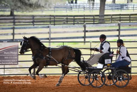 Cefnoakpark Bouncer and Wayne Humphreys with US Combined Driving Team veteran Joe Yoder as navigator Photo: © Kathleen O'Grady