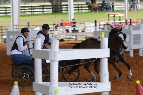 Cefnoakpark Bouncer and Wayne Humphreys with US Combined Driving Team veteran Joe Yoder as navigator Photo: © Kathleen O'Grady