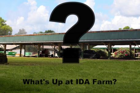 Find out what’s goin on at IDA Farm at the August Shop Talk where IDA’s new owners will discuss their plans for the future. 