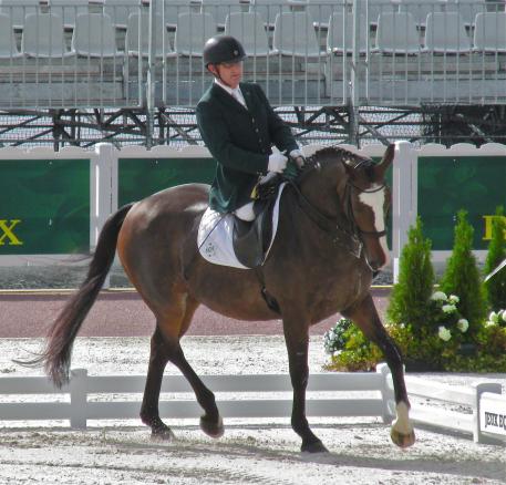 James and Orlando, a polished pair, at the 2014 Alltech FEI World Equestrian Games.