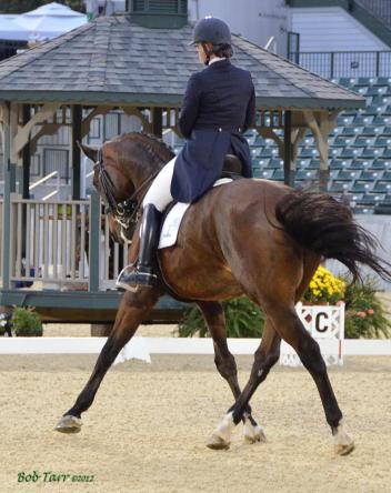  Six hundred dressage exhibitors will compete for championship honors this week at the Great American/USDF Region 2 Championship Show & KDA Fall Classic in Lexington, Kentucky.  Photo courtesy of Bob Tarr