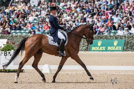 Michael Jung and La Biosthetique Sam FBW are tied for the lead at the Rolex Kentucky Three-Day Event, with a score of 36.3. (Photo: Ben Radvani)