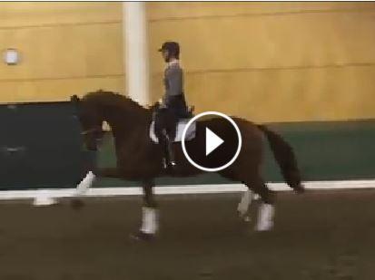 Heather Blitz and Paragon show off at the Symposium